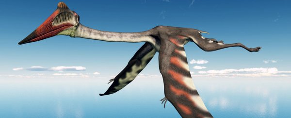 A flying predator the size of a plane could have been the largest of its kind
