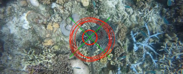 Terminator-style robot to save the Great Barrier Reef from starfish plague