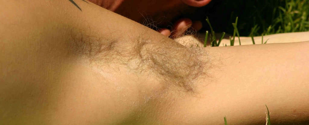 body hair
