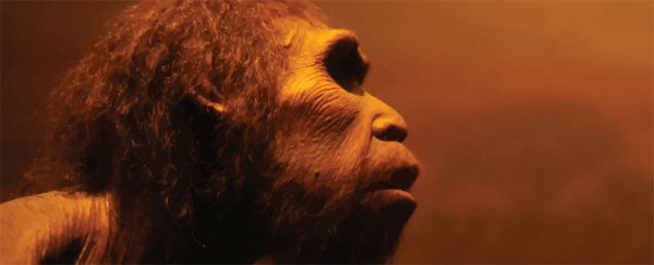 Neanderthal sex could explain why Europeans and Africans have different immune systems