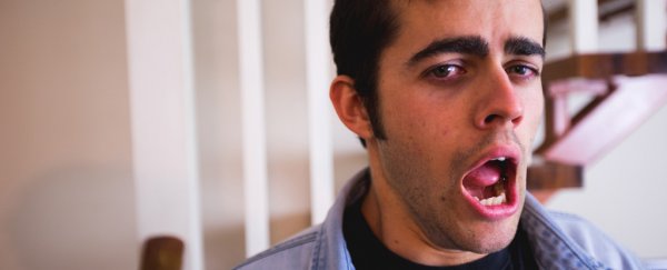 This one factor may explain why you're a morning person or a night owl