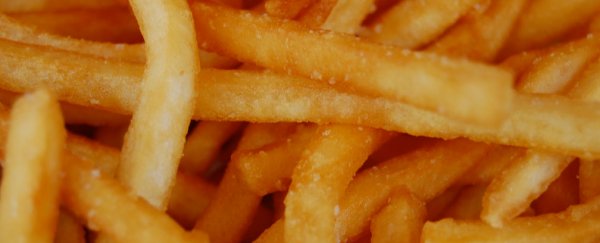 Watch: Dutch university creates vending machine that serves hot French fries