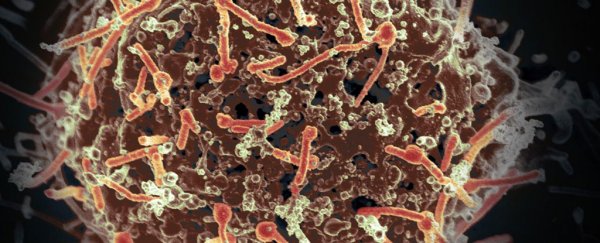 "Superspreaders" caused more than 60% of infections during the Ebola epidemic