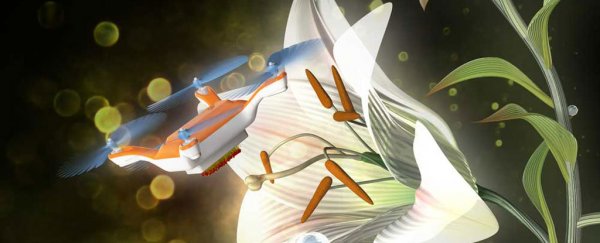 The world's first pollinating drone could help us survive the bee-pocalypse