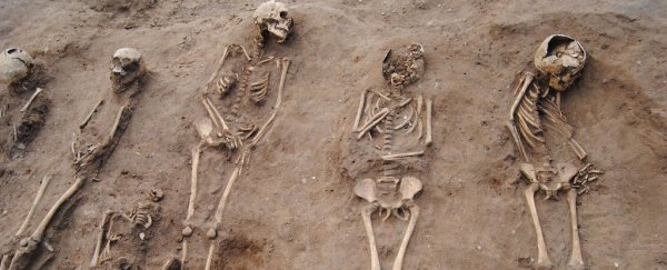 Archaeologists have uncovered a mass burial pit of Black Death victims
