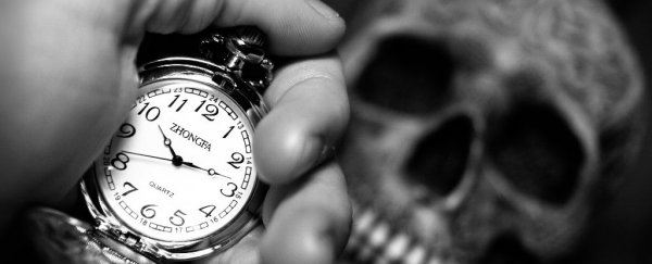 These cell 'clocks' can indicate the approach of cancer and impending death
