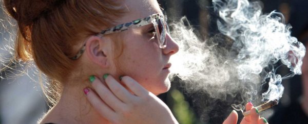 Scientists found something strange when they looked at the brains of pot smokers