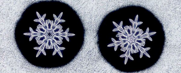At last, video confirmation that snowflakes aren't always perfectly unique
