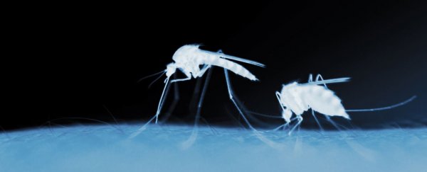 Nobody can explain how a mystery case of Zika spread in Utah
