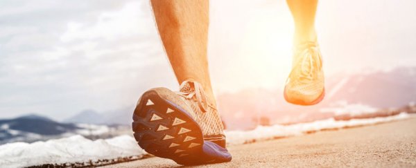 Here's what exercise does to your bones