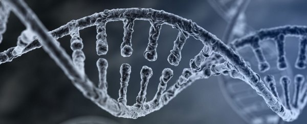 A federal panel just gave the green light to use gene editing on humans