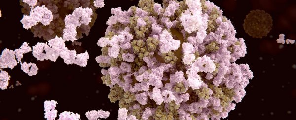 Scientists have discovered a brand-new aspect of our immune system