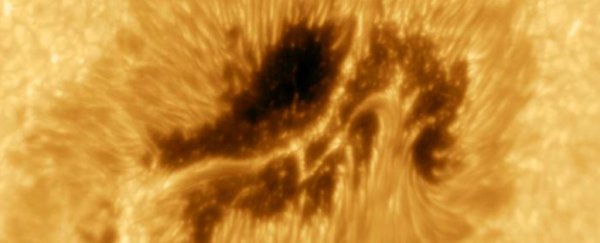 We can now watch solar storms in real time, and it's going to be epic