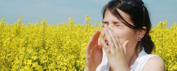 Your birth season is stamped on your DNA and can affect your risk of allergies