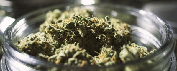 The DEA just opened up a path to medical marijuana nationwide