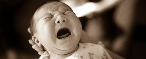 Crying really does get you what you want, study finds