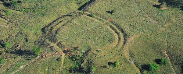 New evidence could finally explain the Amazon's mysterious 'Stonehenge'