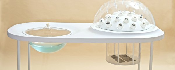 WATCH: This new device turns plastic into edible mushrooms