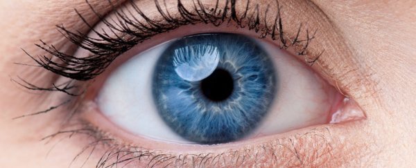 Japanese scientists have used skin cells to restore a patient's vision for the first time