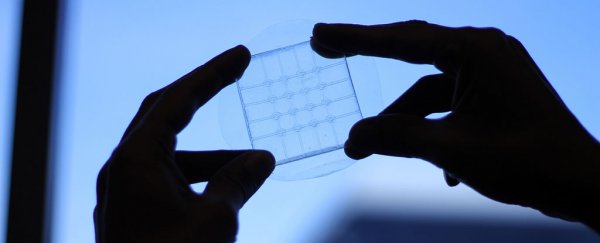 This new hyper-flexible touchscreen means your next phone could bend and stretch