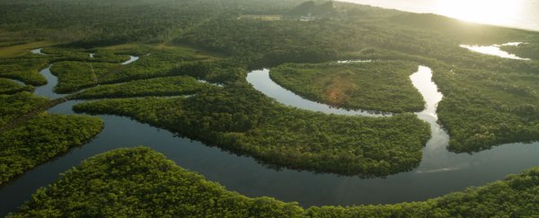 A vast reserve of pristine Amazon rainforest has just been saved from mining operations