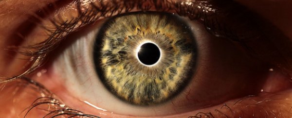 Study proves we CAN see ‘invisible’ infrared light