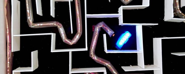 This growing, twisting snake robot could one day save your life
