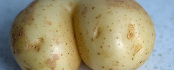 Watch: The evolution of humans' obsession with bums