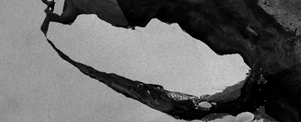 That giant Antarctic iceberg just revealed an ecosystem hidden for thousands of years