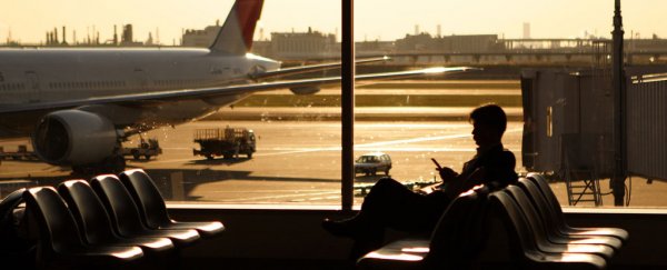 Just US$11 could make your entire holiday carbon-free, researchers say