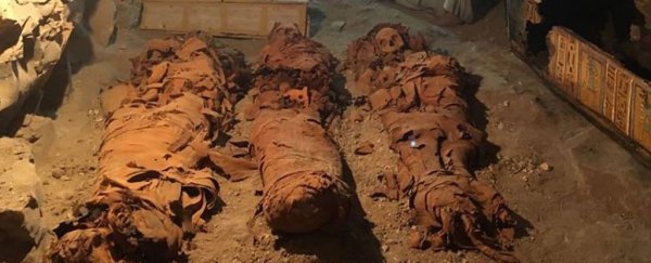 A 3,500-year-old tomb full of mummies has just been discovered in Egypt