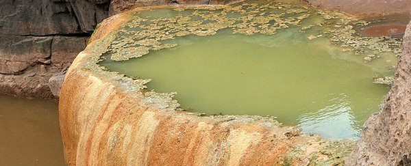 Arsenic in drinking water linked to a 50% drop in breast cancer deaths