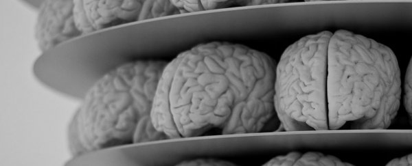 Scientists successfully grow human brain equivalent to 5-week-old foetus in the lab