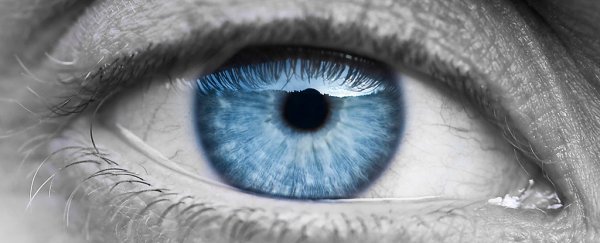 UK woman is first to receive stem cell treatment that could cure blindness