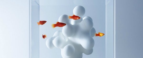This fish tank is filled with ingenious 3D-printed coral