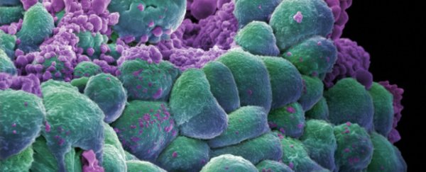 First trials of a new breast cancer vaccine show promising results
