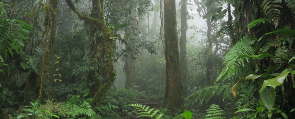 More than one fifth of the world's plant species are now threatened with extinction