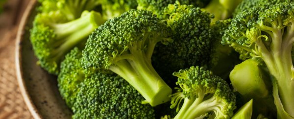 Scientists just found a way to make broccoli even healthier