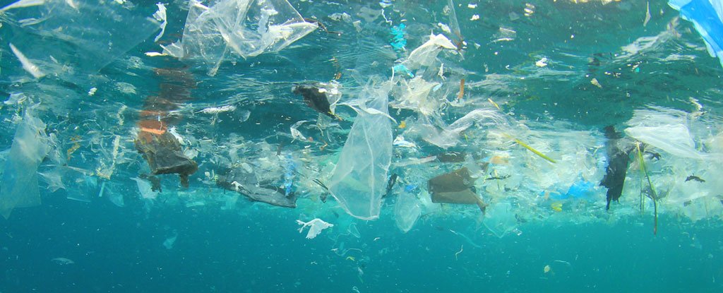 The Great Pacific Garbage Patch Contains Even More Trash ...
