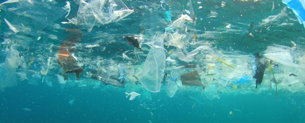 The Great Pacific Garbage Patch contains even more trash than we thought