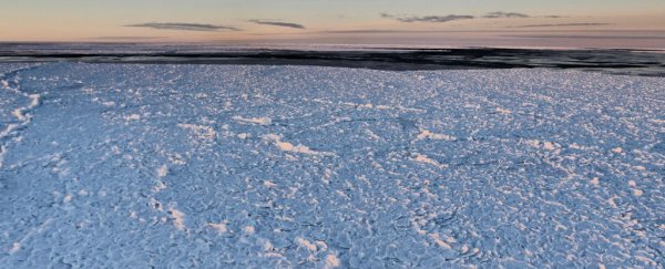 Scientists Have Uncovered Rare "Dragon-Skin" Ice Forged by Intense Antarctic Gales