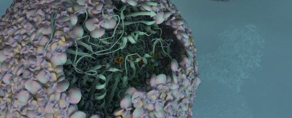 Scientists develop hydrogen 'nano reactor' by hiding bacteria genes inside a virus shell