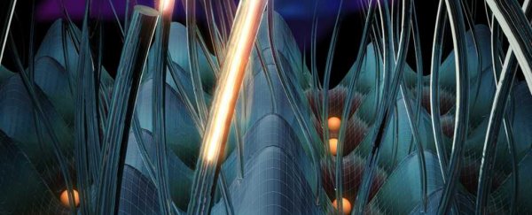 Experiments show the effects of a fourth spatial dimension
