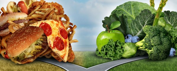 Doing the 5:2 diet? Avoid antioxidants, new research suggests