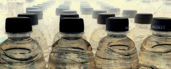 Common alternative to BPA plastic is equally harmful in animal testing, study finds