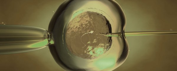 World-first in Ukraine as 'three-parent' baby born to an infertile couple