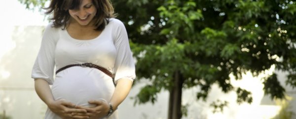 Do you share more genes with your mother or your father?