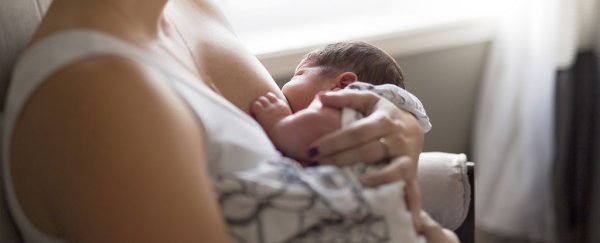 Breastfeeding doesn't provide cognitive benefits after all, study finds