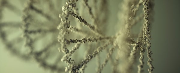 New semi-synthetic organism can make molecules we've never seen before