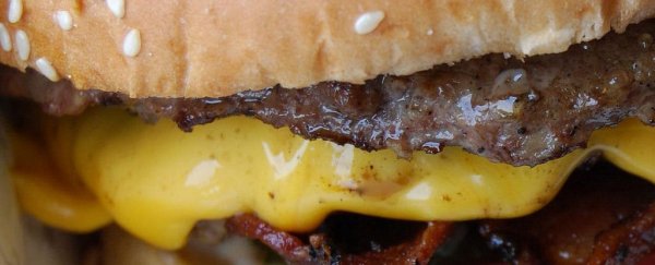 Genetic analysis of your favourite burgers finds some not-so-great surprises